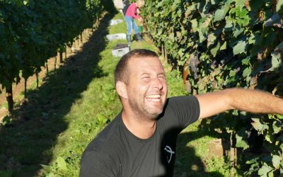 Vendanges 2026 : participez à l’aventure au Domaine