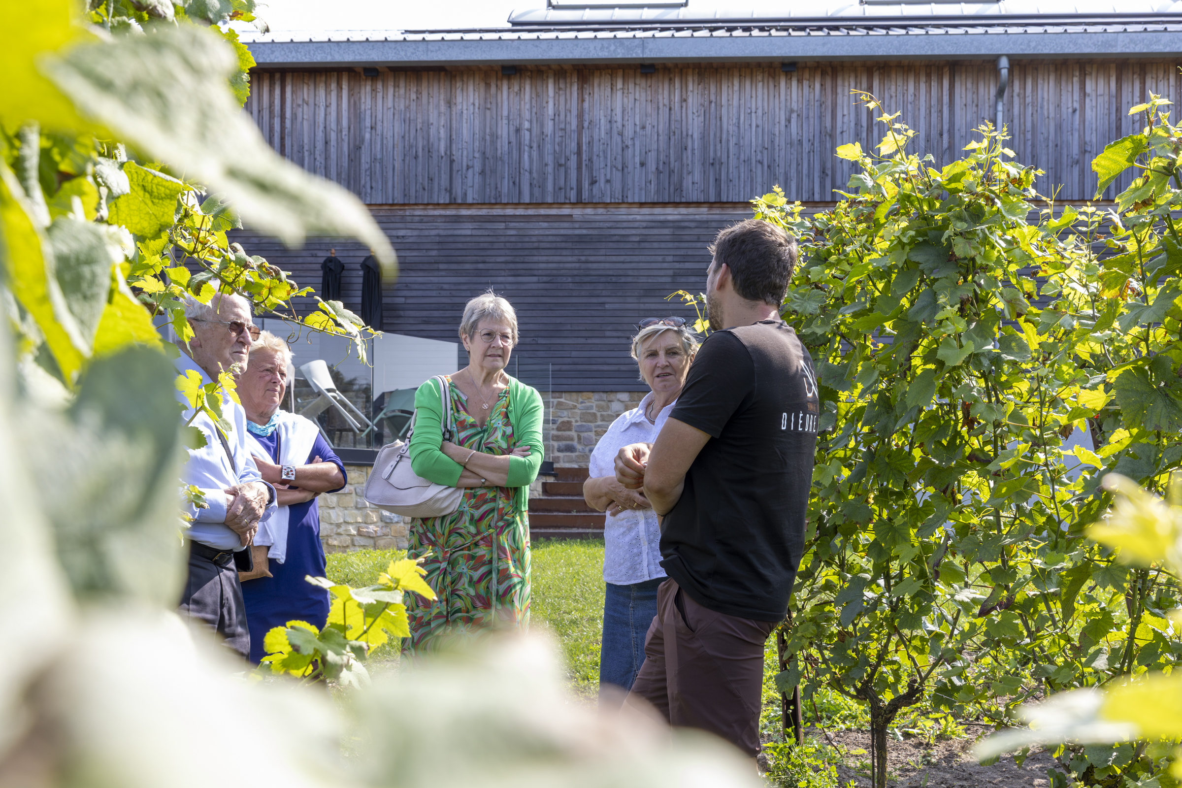 Visite guidée dans les vignes du Domaine du Dièdre Noir
